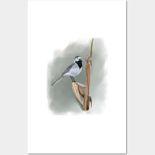 Pied Wagtail Soft Pastel Drawing on Grey Posters and Art